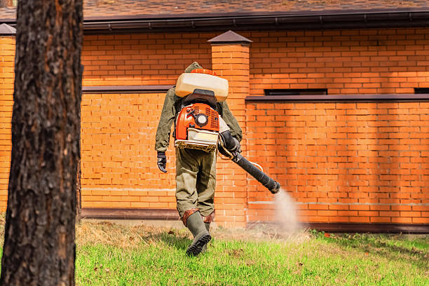 Trusted Rodent Control service in Emerald Lakes, PA - Nex Pest Control
